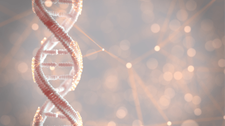 Nucleic acids