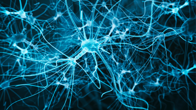 Systems Biology