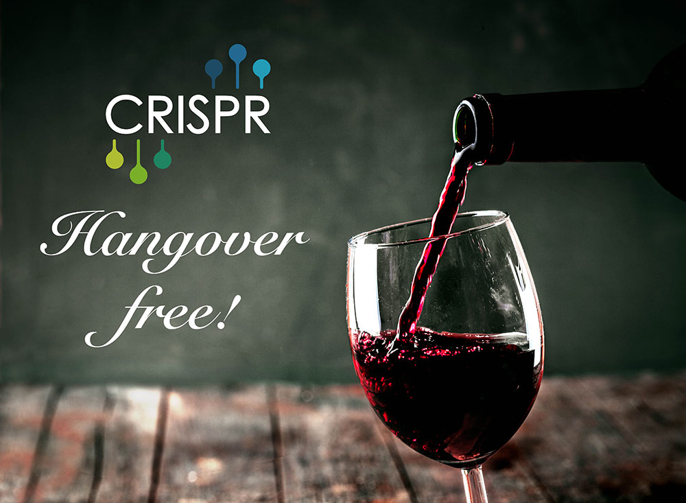 CRISPR to Brew hangover proof booze