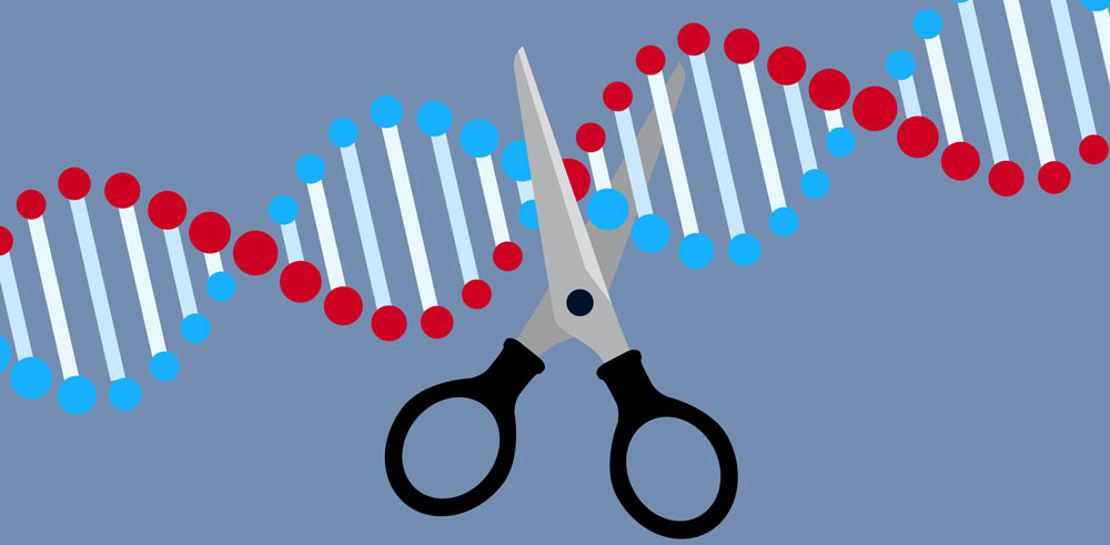 상위 5개 SynBio 동향 CRISPR