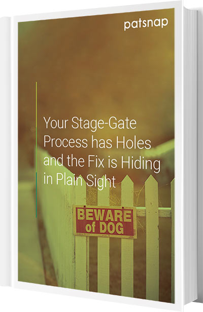 Your Stage-Gate Process has Holes and the Fix is Hiding in Plain Sight ebook