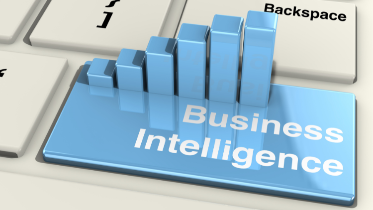 Business Intelligence Software