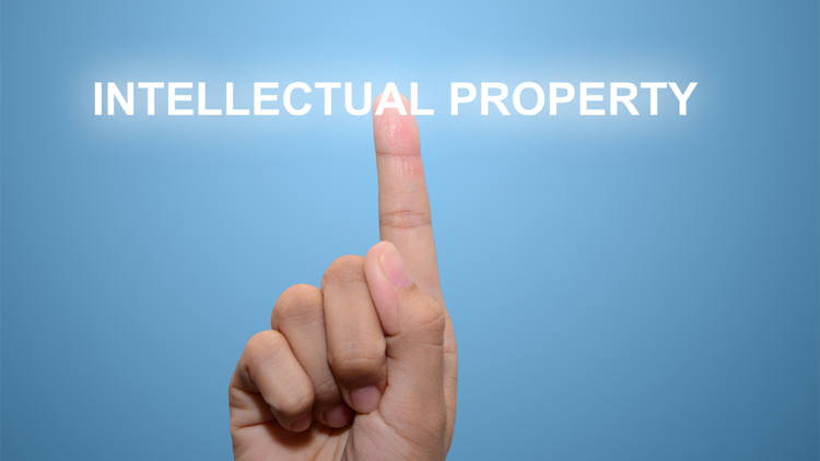 Intellectual Property Law  