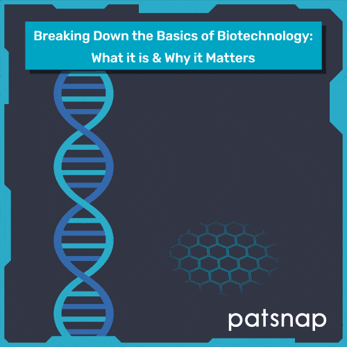 What are the types of biotechnology?